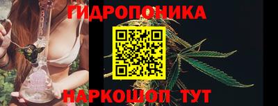 крисы Будённовск