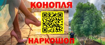 крисы Будённовск
