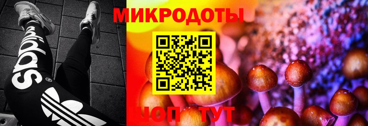Псилоцибиновые грибы Magic Shrooms  Галлюциногенные грибы Cubensis  Саяногорск  Вход с VPN 